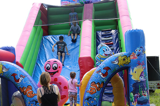 Приключения Немо